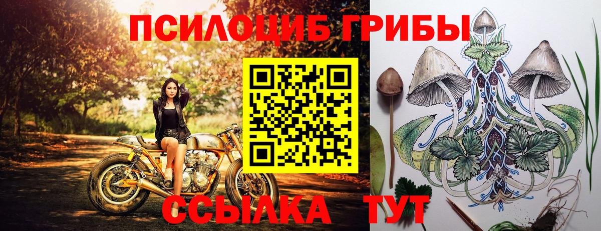 Галлюциногенные грибы мицелий  Вход с VPN  Красноуфимск  Галлюциногенные грибы мицелий 