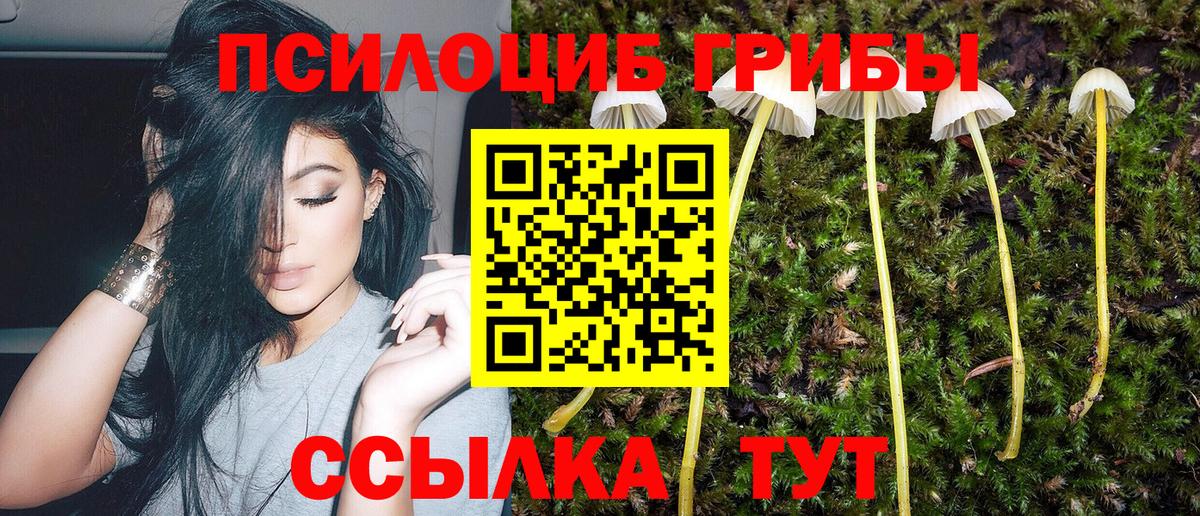 Псилоцибиновые грибы MAGIC MUSHROOMS Красноуфимск
