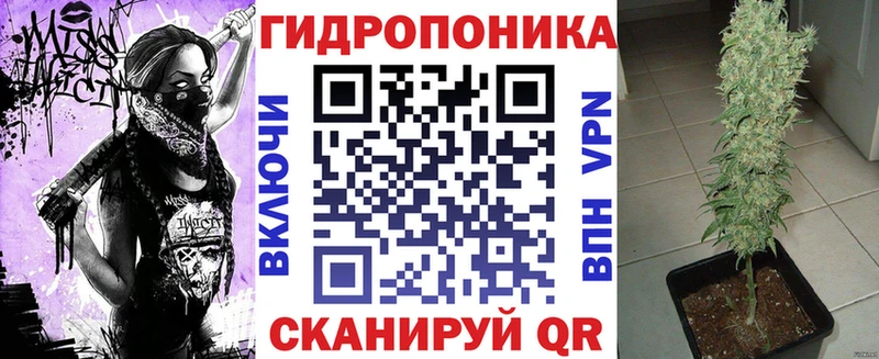 купить наркоту  Красноуфимск  Канабис SATIVA & INDICA 